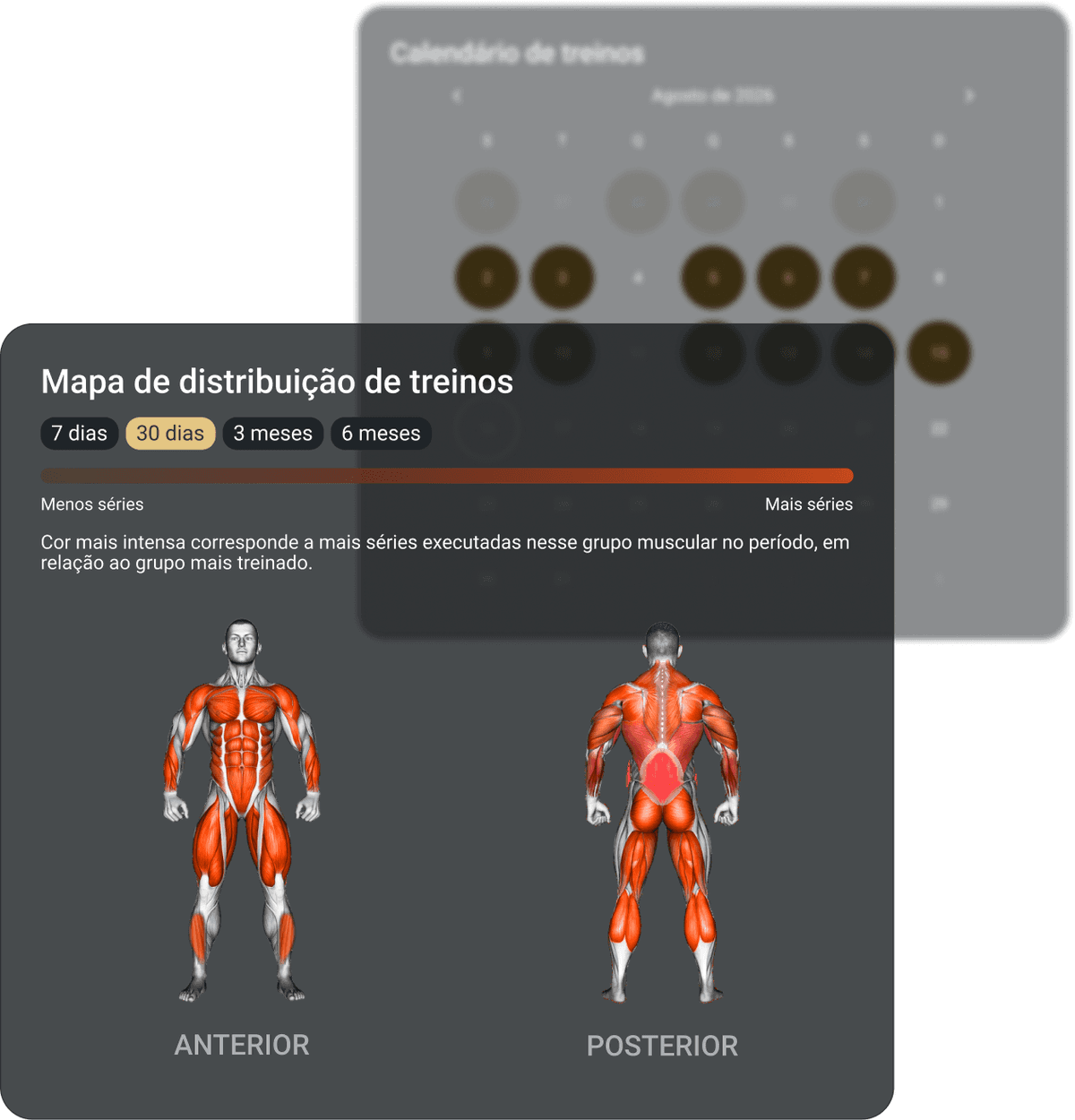 Painel do Appollo Coach mostrando a visão geral do aluno, com constância de treinos e mapa de distribuição muscular